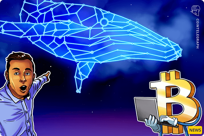 نهنگهای جدید موج سوم سودگیری بیتکوین در چرخه فعلی را تحریک میکنند